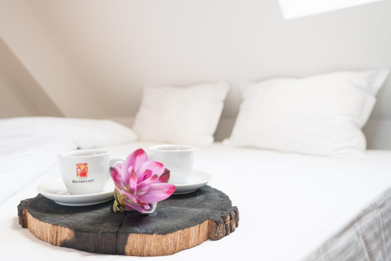 Casa Daca Boutique Hotel تشيسيناو المظهر الخارجي الصورة